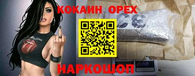 spice Моздок