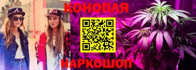 spice Моздок