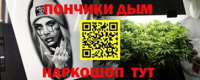 spice Моздок