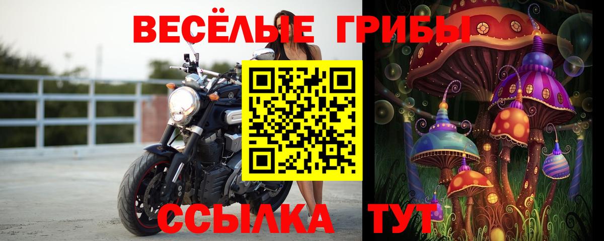 Галлюциногенные грибы ЛСД  Вход с VPN  продажа наркотиков  Шатура 